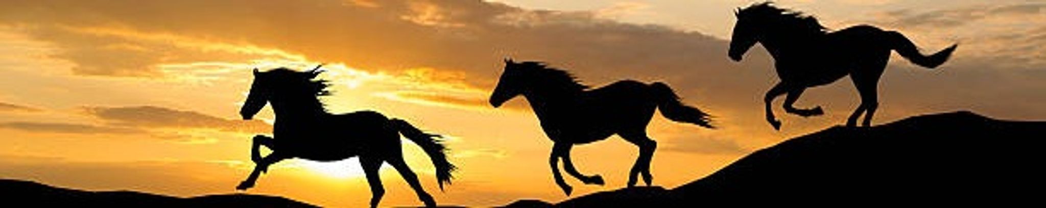 Cover for Carole M. Gerrity's Obituary