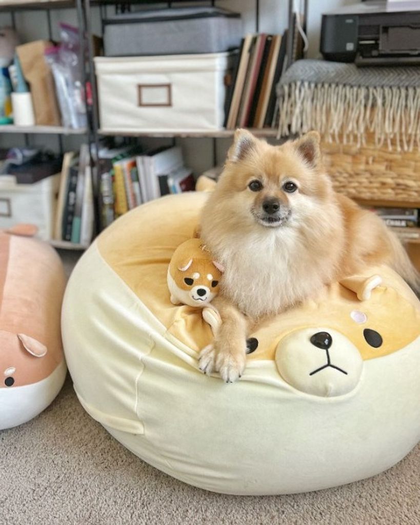 Sayde Han Profile Photo