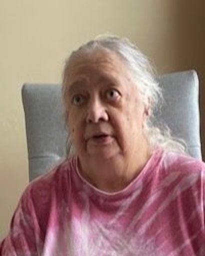 Sandra Lee Volk's obituary image