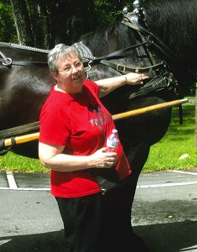 Nancy Mcclanahan Profile Photo