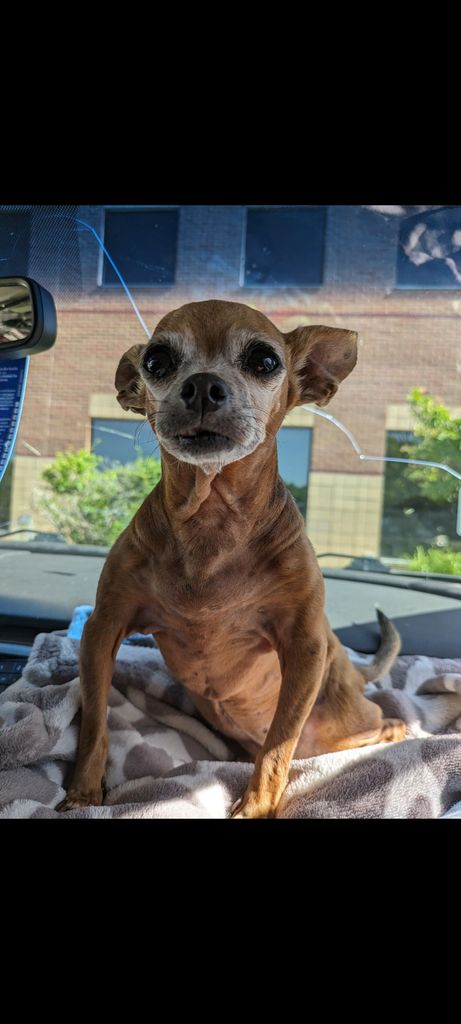 Gypsy Profile Photo