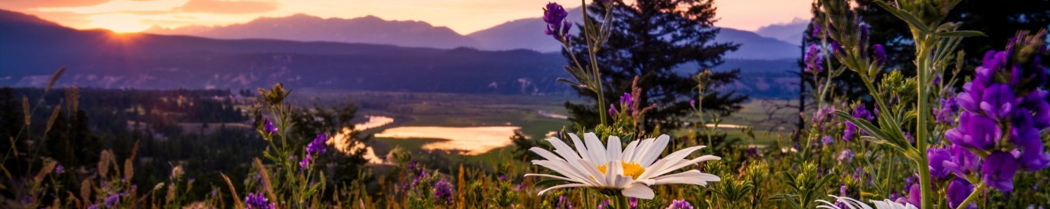Cover photo for Joyce E. Deckert's Obituary