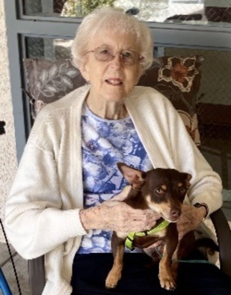 Barbara Goodwin Jayne Profile Photo