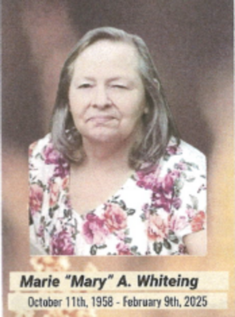 Mary Whiteing Profile Photo