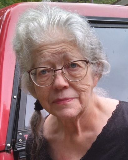 Jillane D. Fincher's obituary image