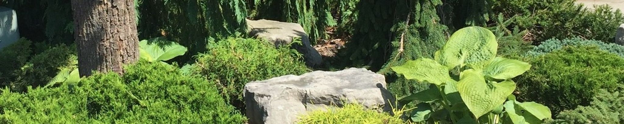 Cover for Xenia Caldarevic's Obituary