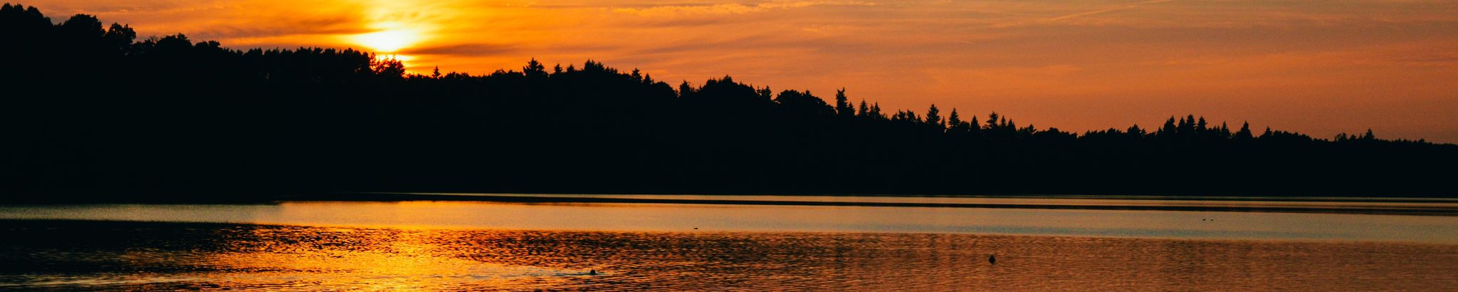 Cover for George W. Davis's Obituary