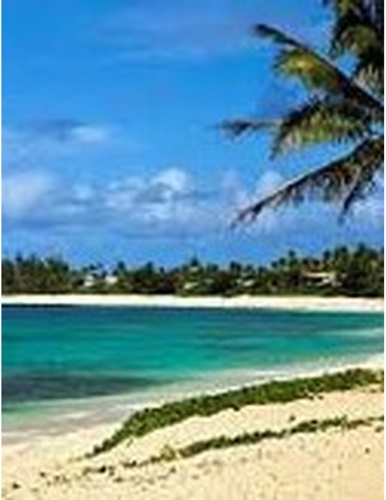 Julie  Ann (Hurt) Hixson Profile Photo