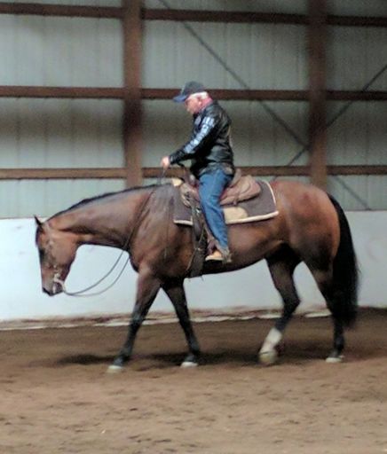Tom Ronald Knoch Profile Photo