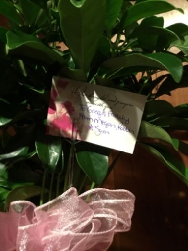 Nancy Lee Hoagland photo gallery thumbnail 15 of 25