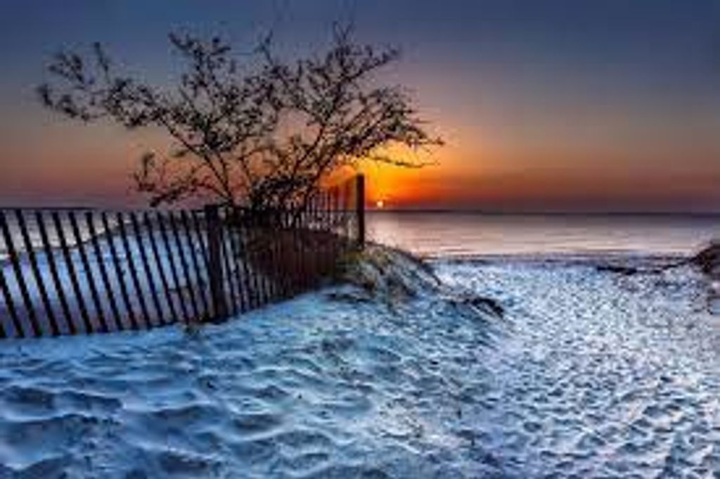 Sheldon Brown Profile Photo