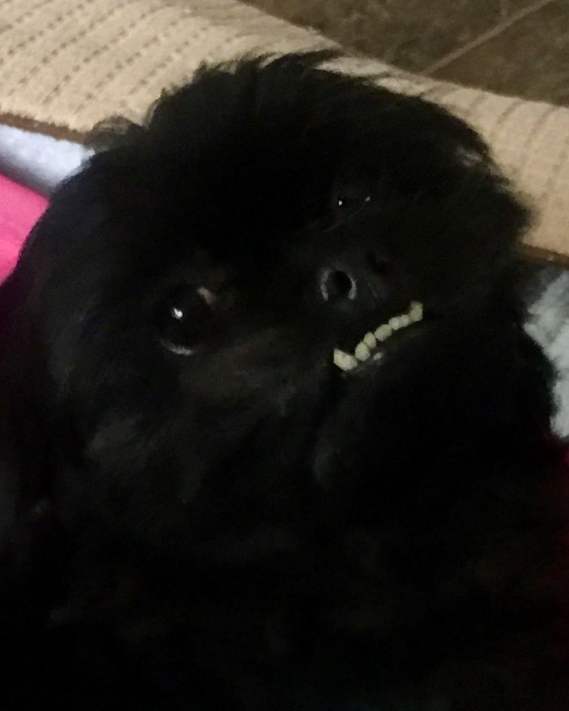 Sallie Stratton Profile Photo