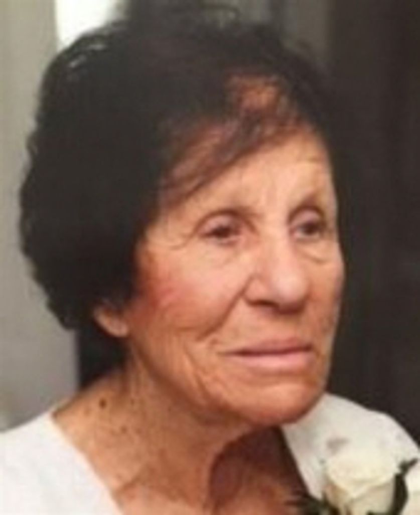 Amelia Haney Profile Photo