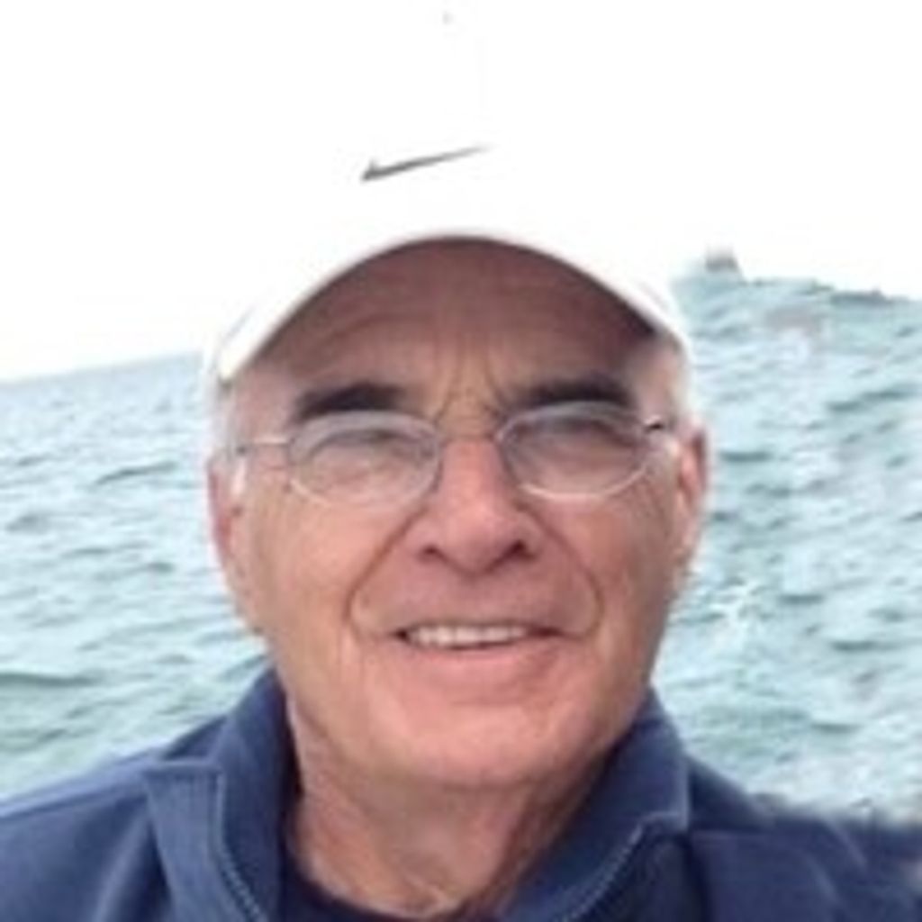 Peter L Regonini