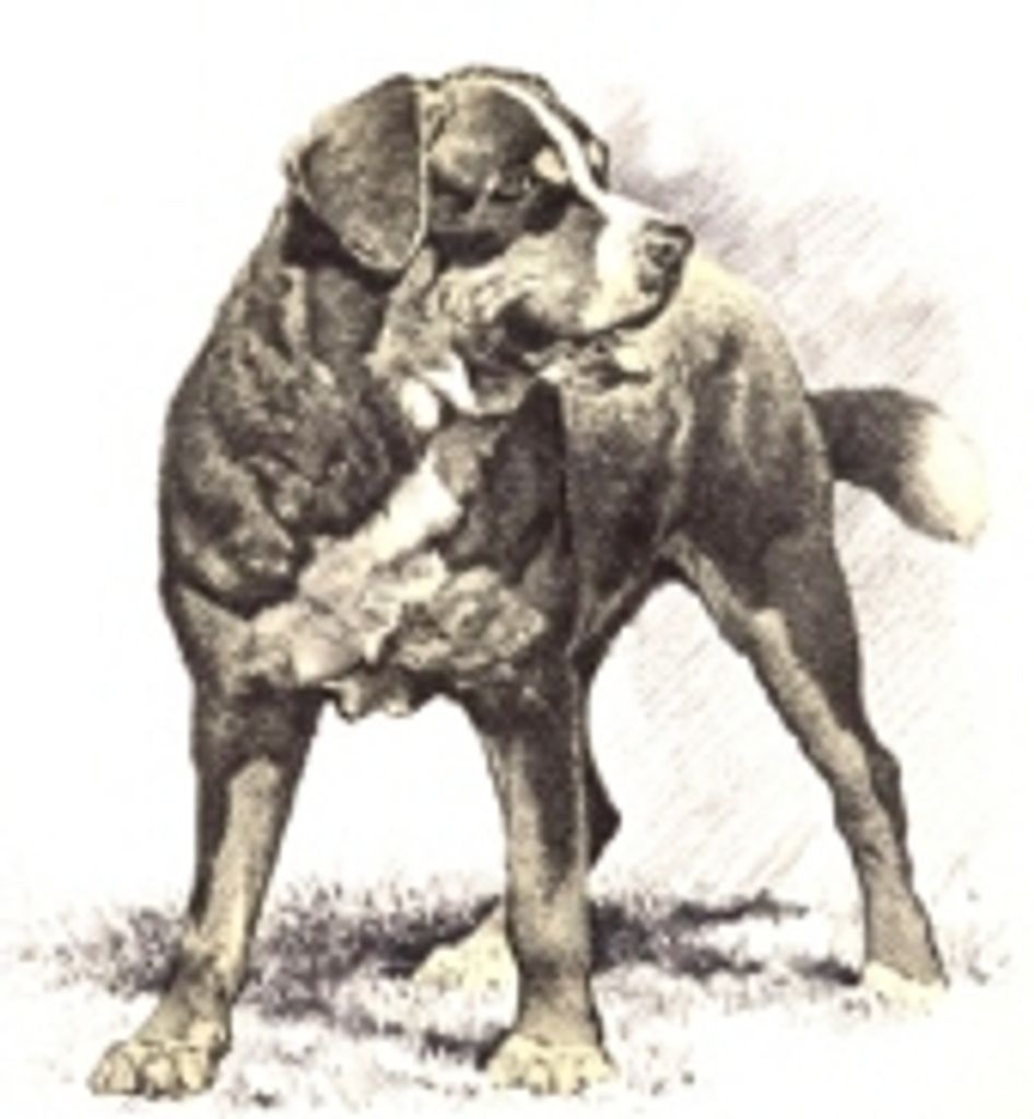 Belle Verplank Profile Photo