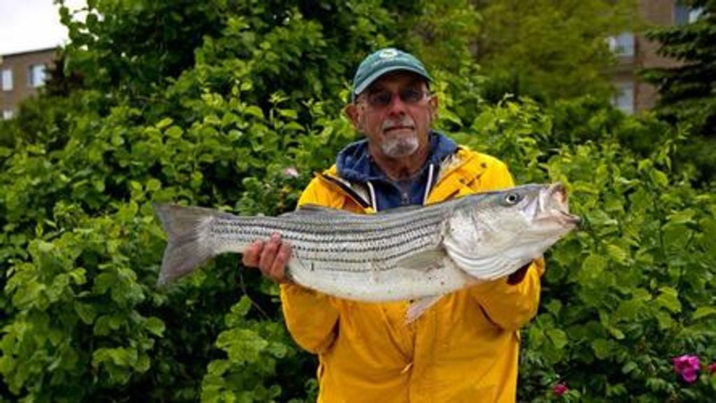 Donald Kenneth Kleeberg