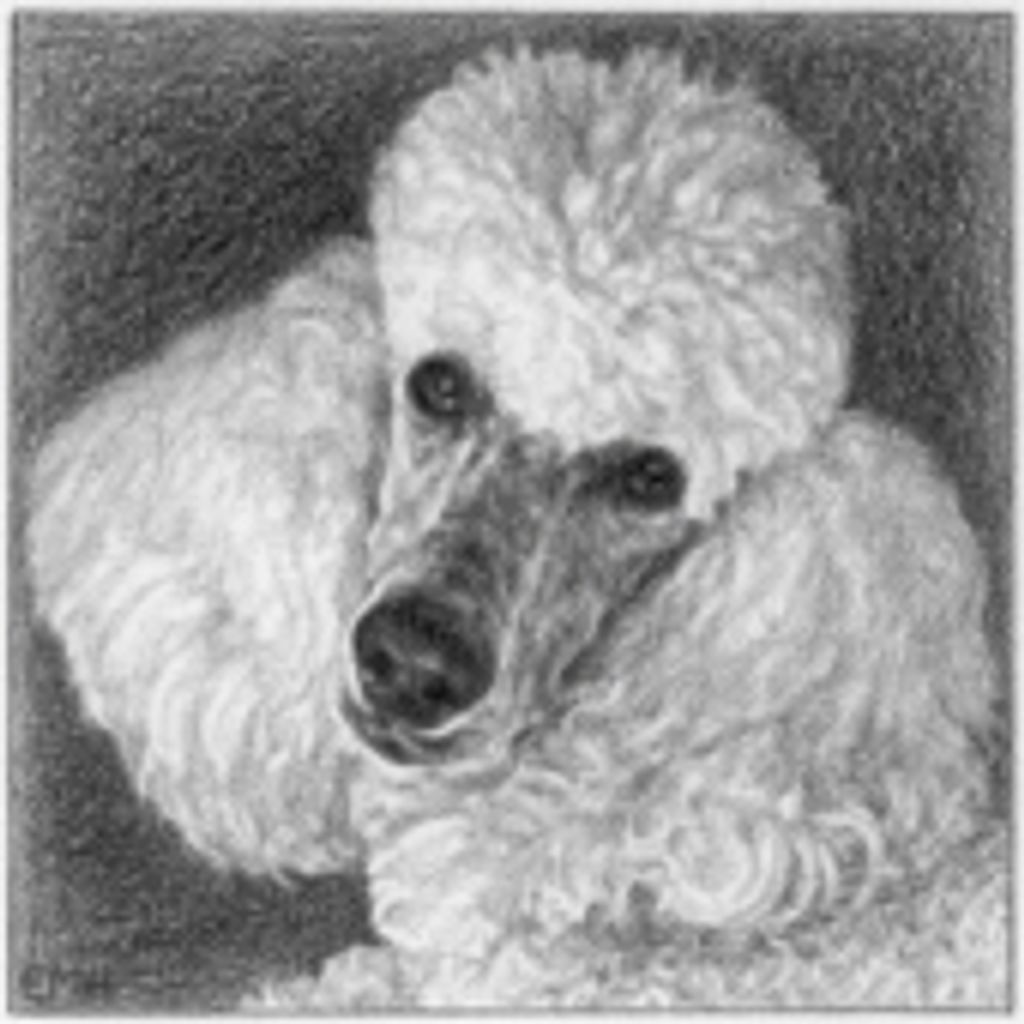 Chloe Hoerle Profile Photo