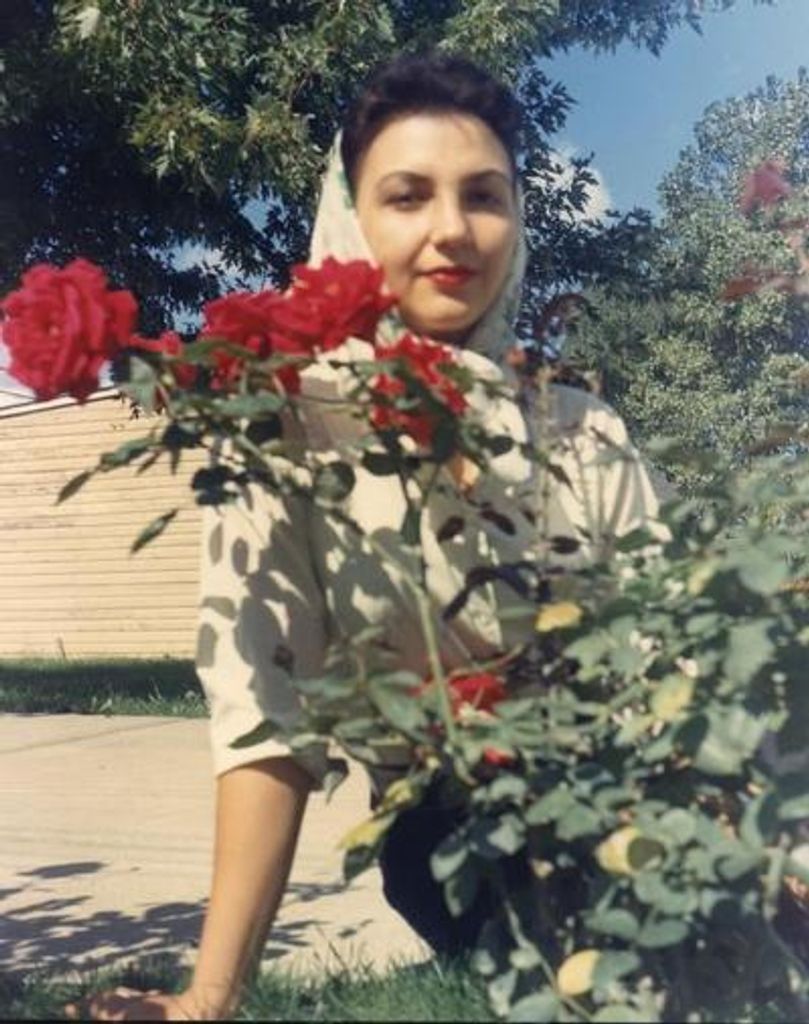 Carol Ann Skindell Profile Photo