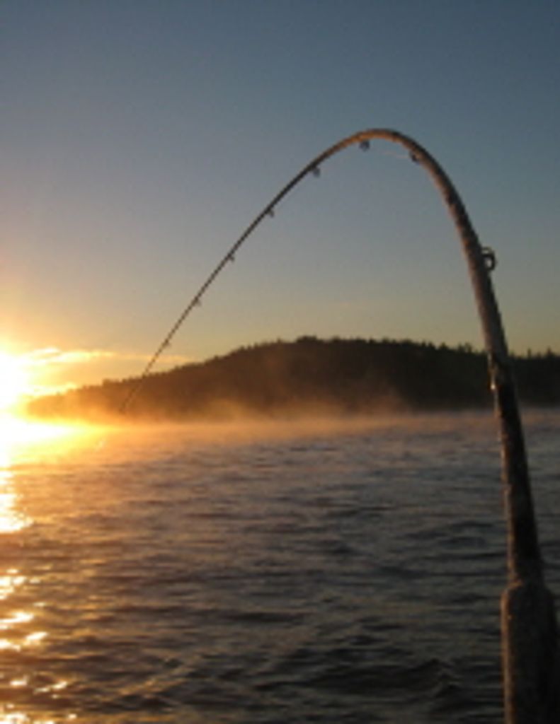 Daniel Wendell Davis