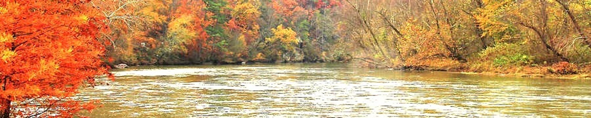 Cover photo for Alan Murray Brown's Obituary