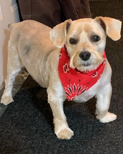 Rex Wittek's obituary image