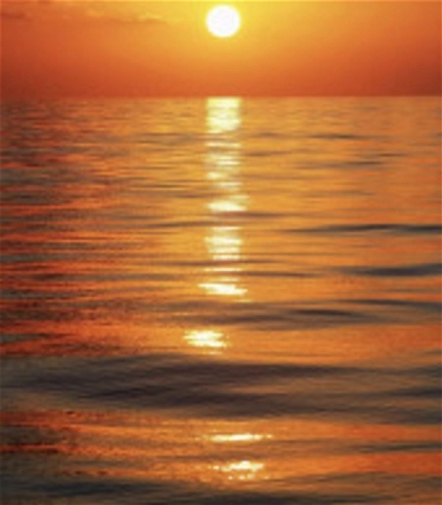 David Fredrick Hanlon