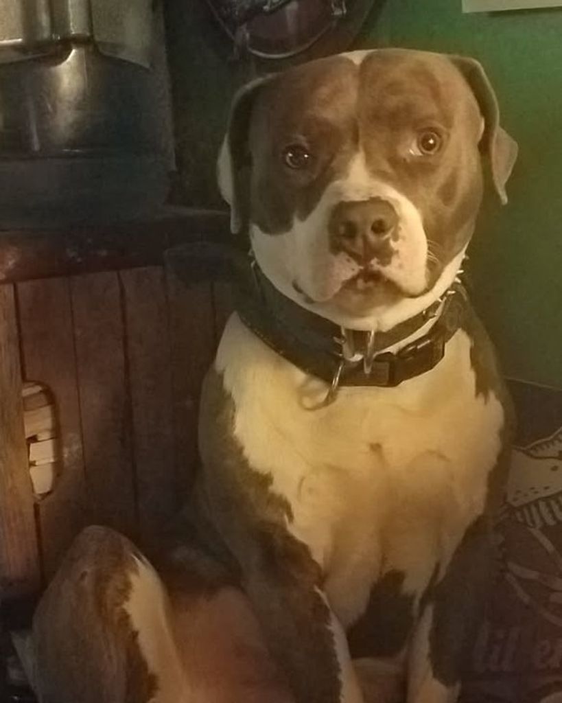 Rosco Burnham Profile Photo