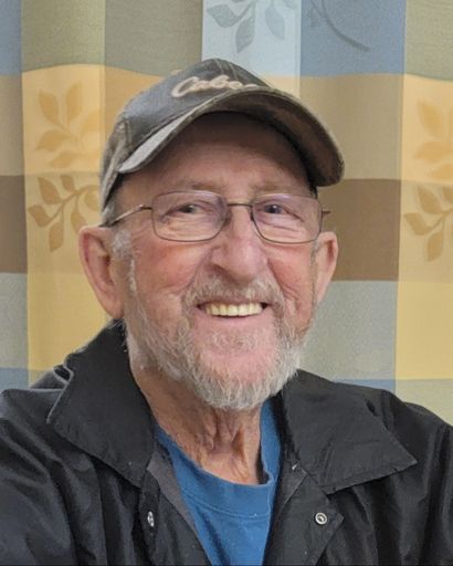 Wayne Harvey Brandt's obituary image
