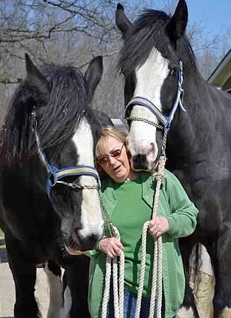 Sharon Kay (Zimmerman)  Hess Profile Photo