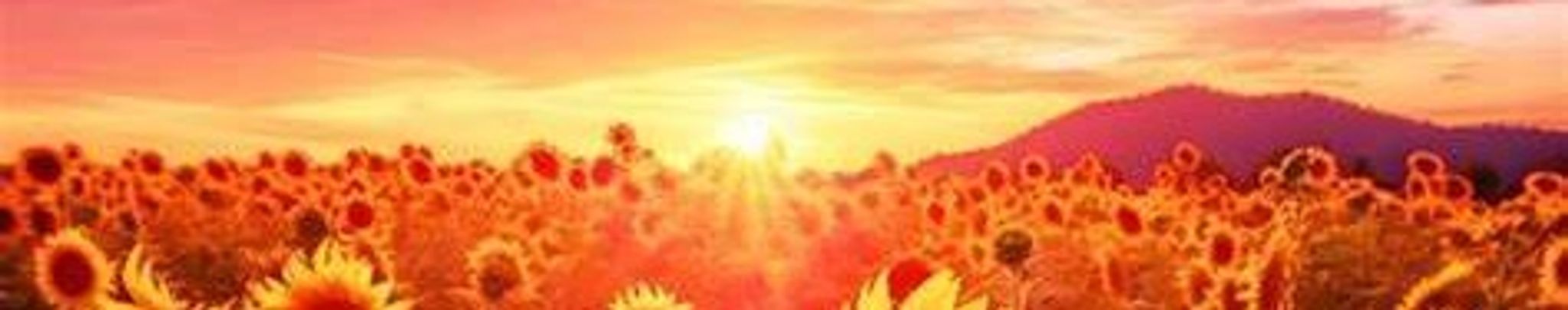 Cover photo for Leticia Montoya's Obituary