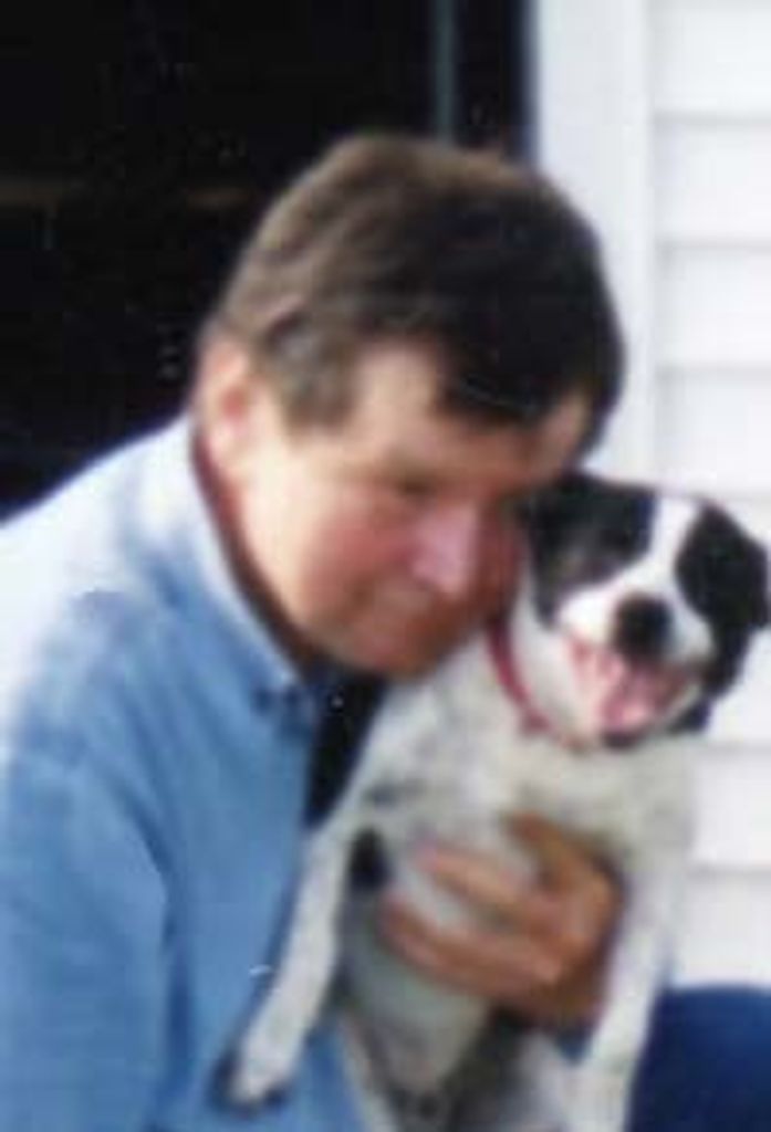 David G Shoman