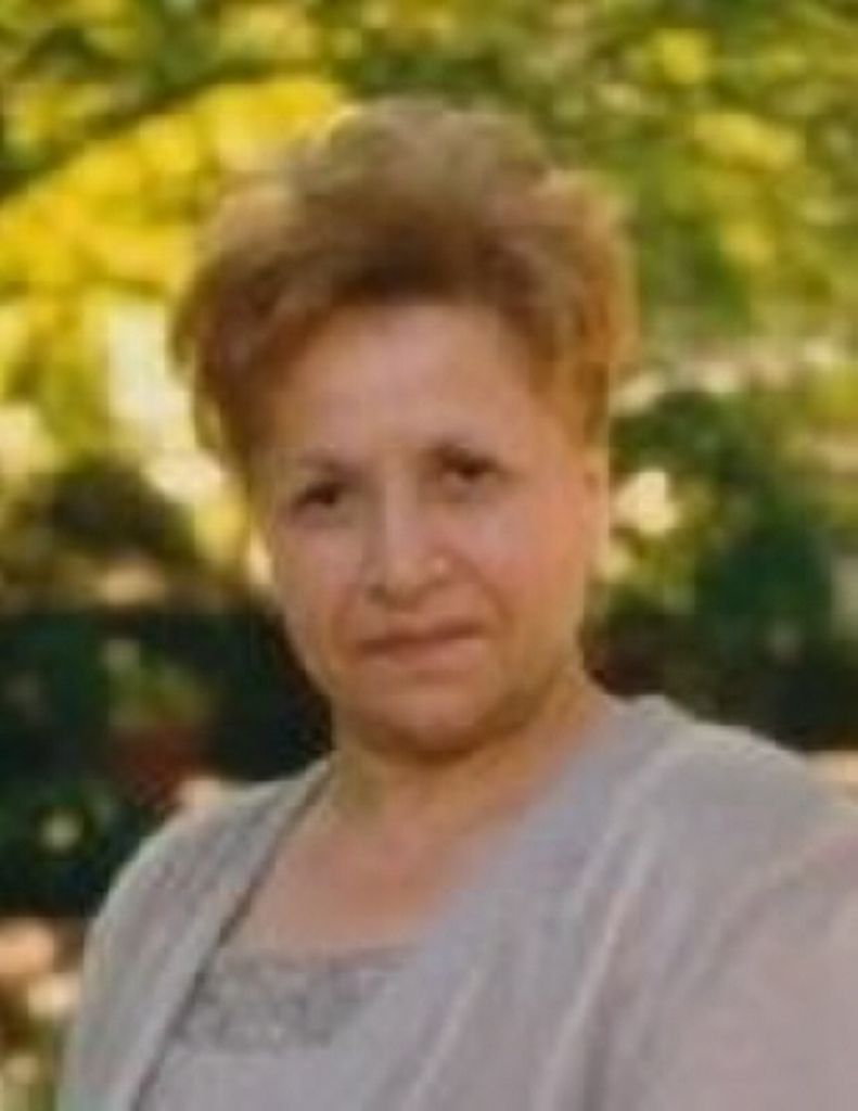 Stella Protonentis