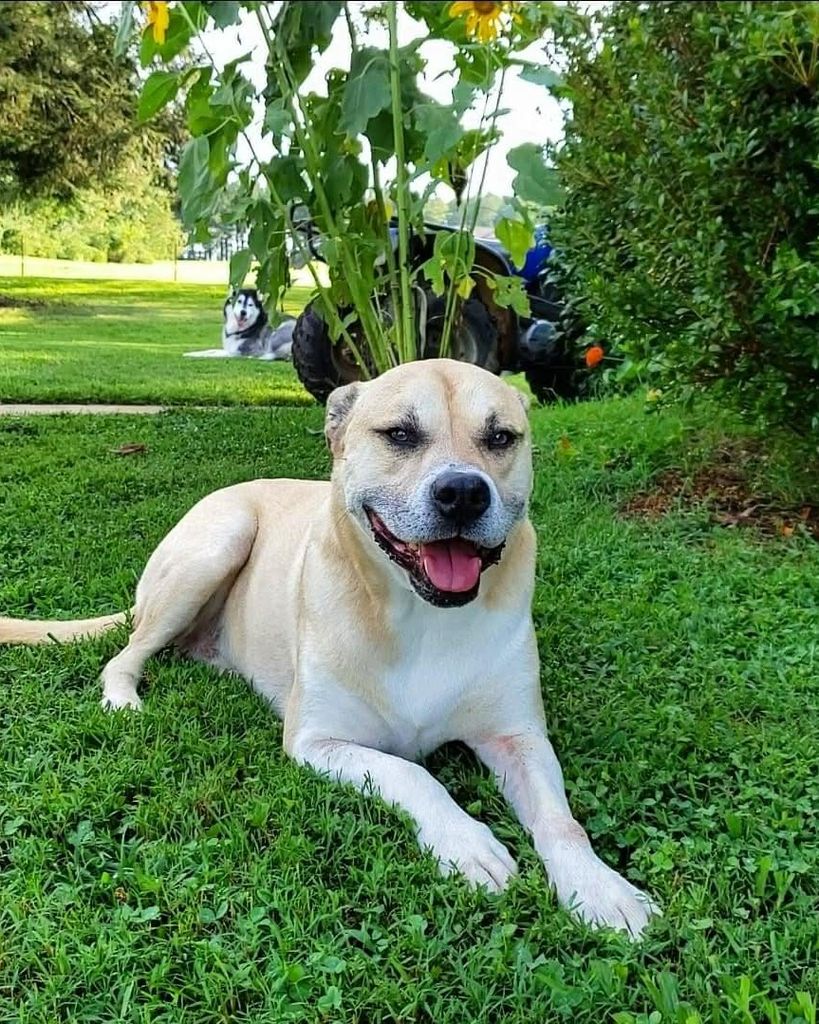 Charley Hedrick Profile Photo