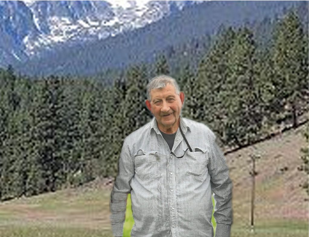 Clarence S. Palin