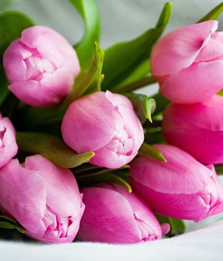 Twilla Mae Schrag's obituary image