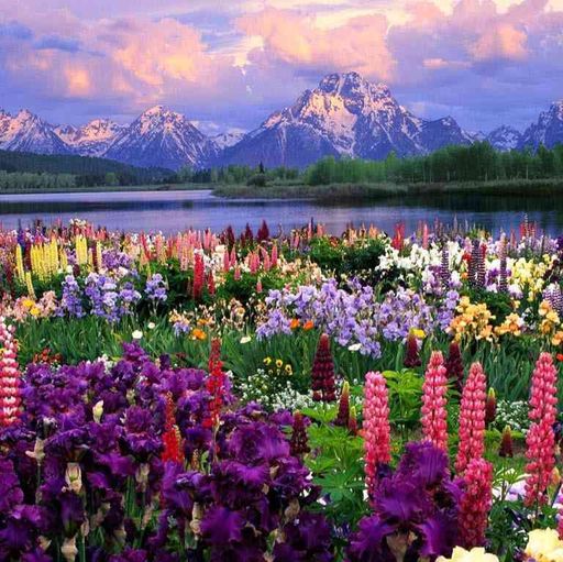 Calvon Roderick Fenshaw-Test