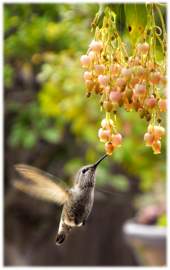 Dana Ciesielski Profile Photo