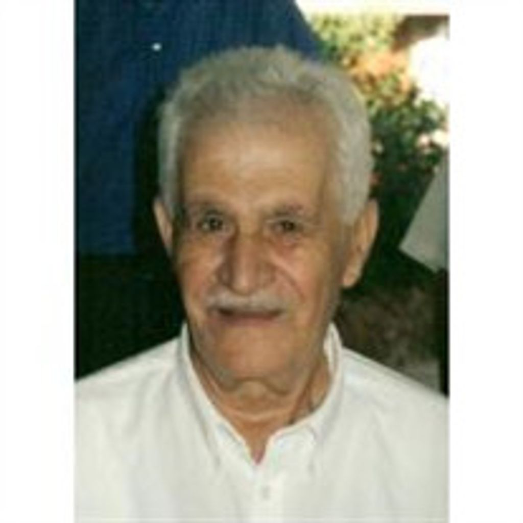 Milad A. Georges