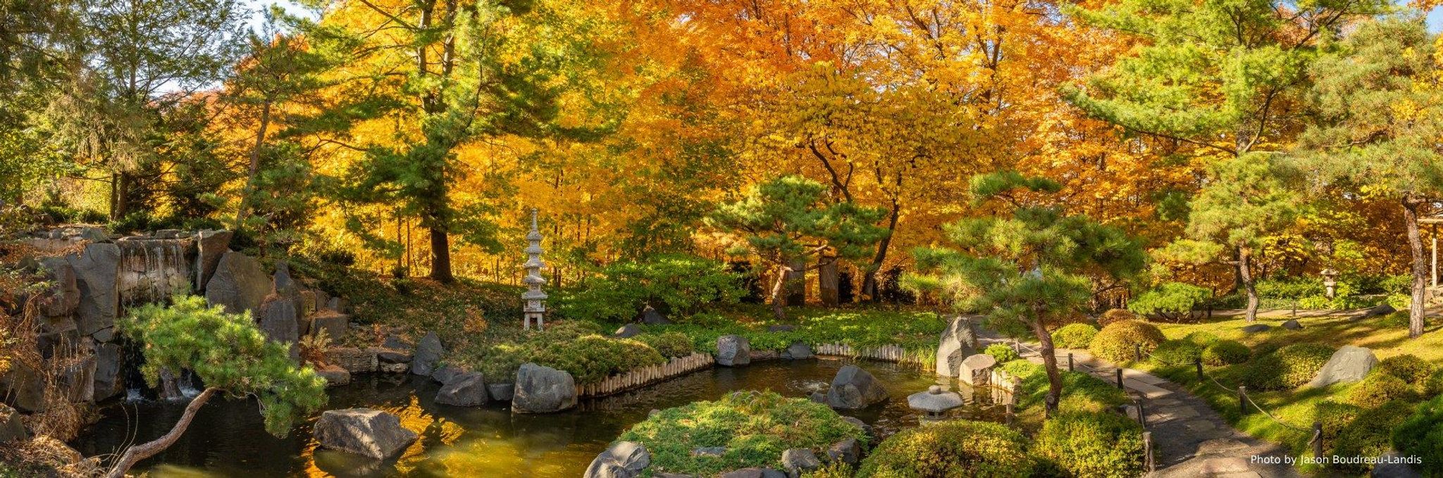 Cover for Reinhold Guignet's Obituary