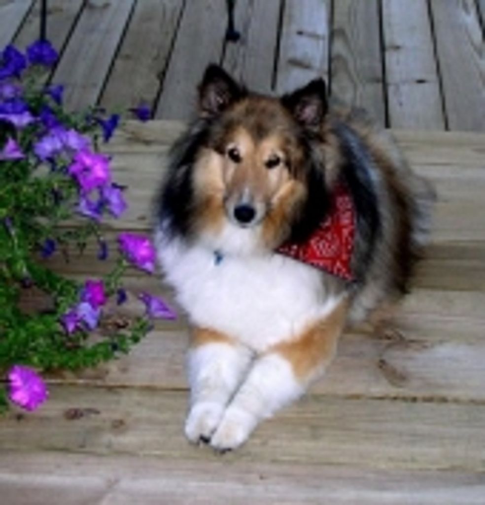 Max Clock Profile Photo