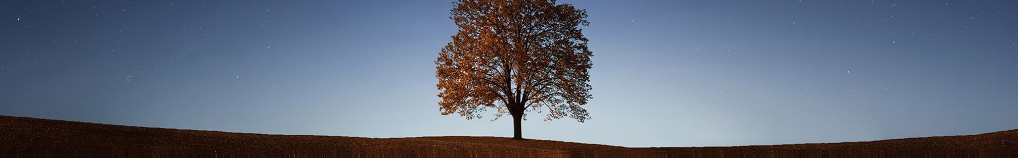 Cover photo for Francis Sweet's Obituary