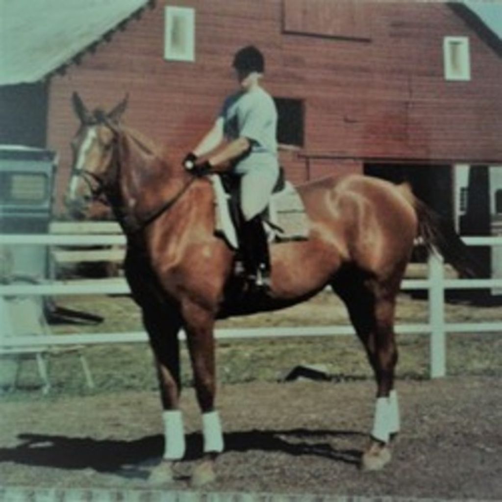Mary Ellen Renne Profile Photo