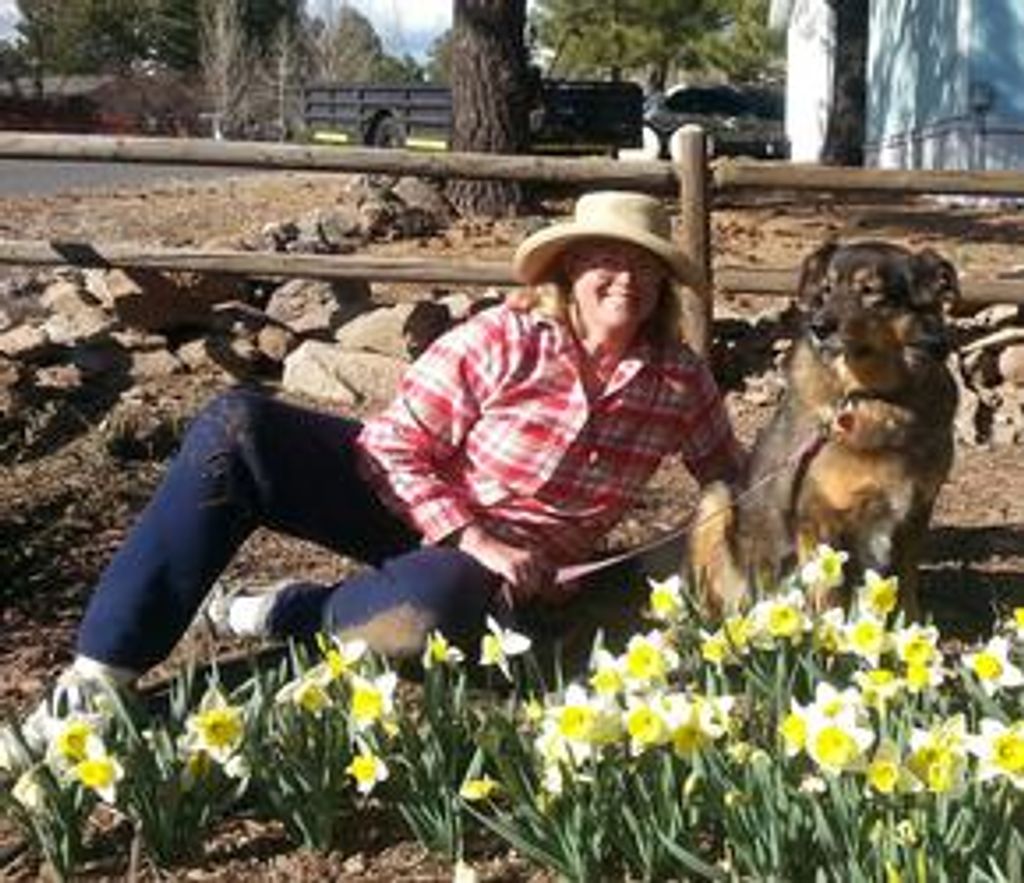 Karen S Boyer