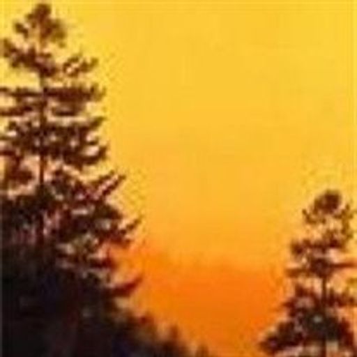 Mark  A. Ross Profile Photo