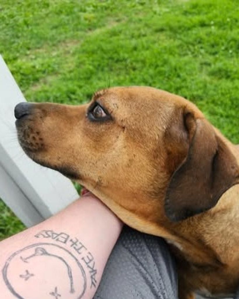 Almond Flannery Profile Photo