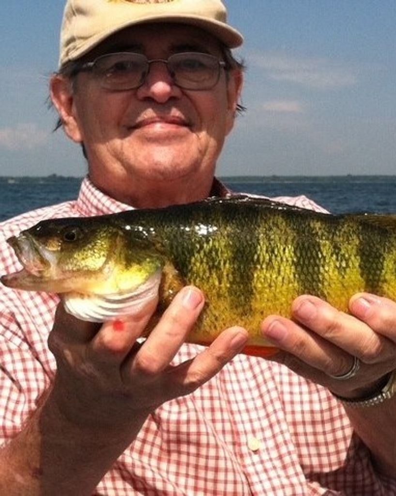 Thomas J. Smeester Profile Photo