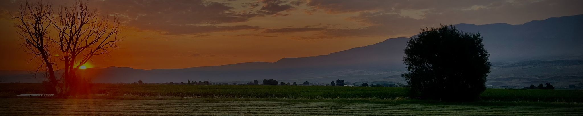 Cover for Kayson Kent Nielson's Obituary