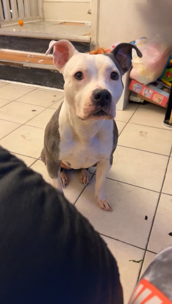 Zoey