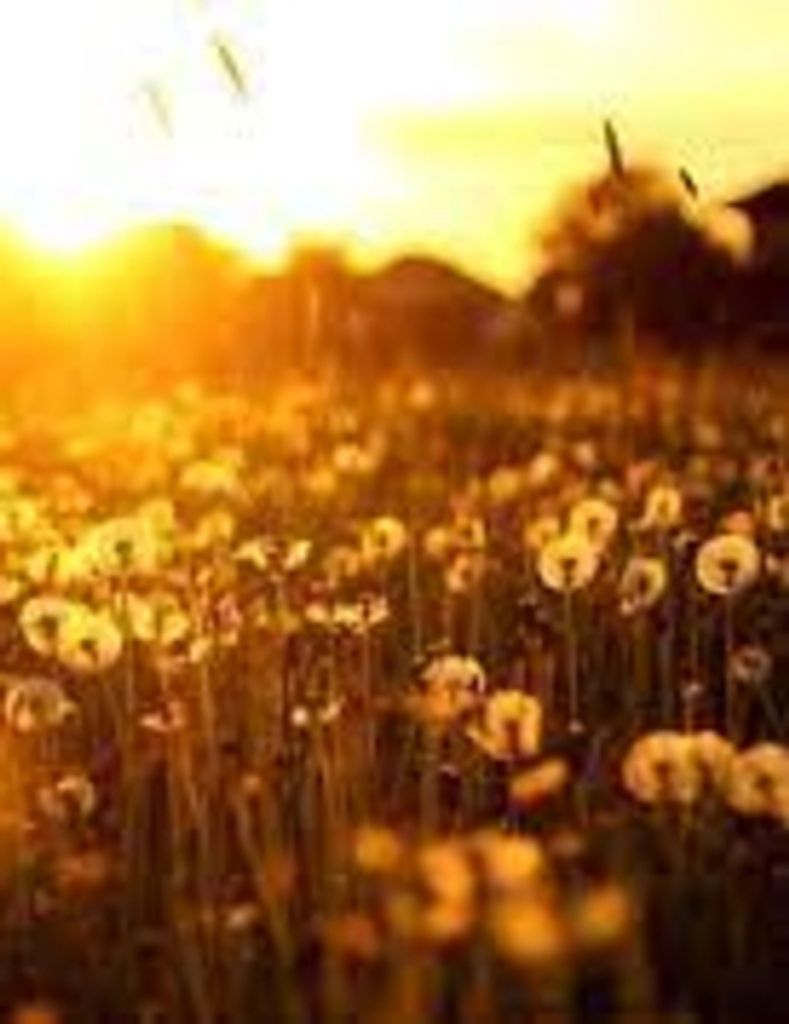 Ronald  Dean Bohlender, Jr.