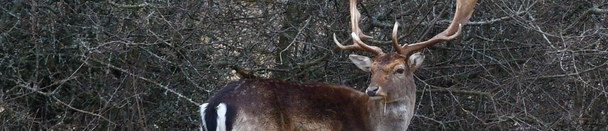 Cover photo for Douglas "Bryan" McDonald's Obituary
